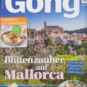 Gong