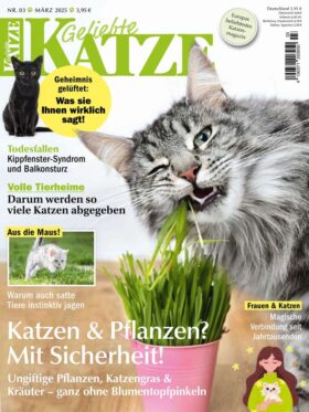 Geliebte Katze